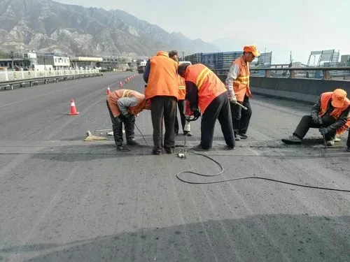 吴江道路桥梁病害治理